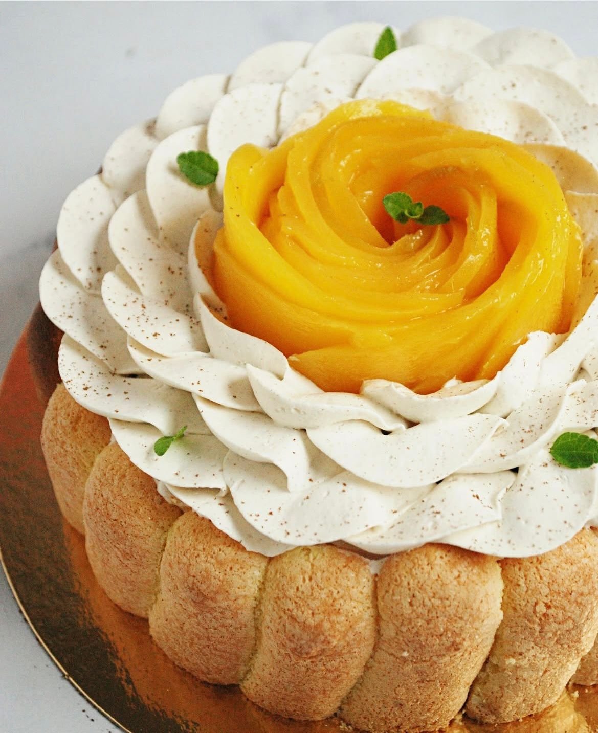 Charlotte mangue
