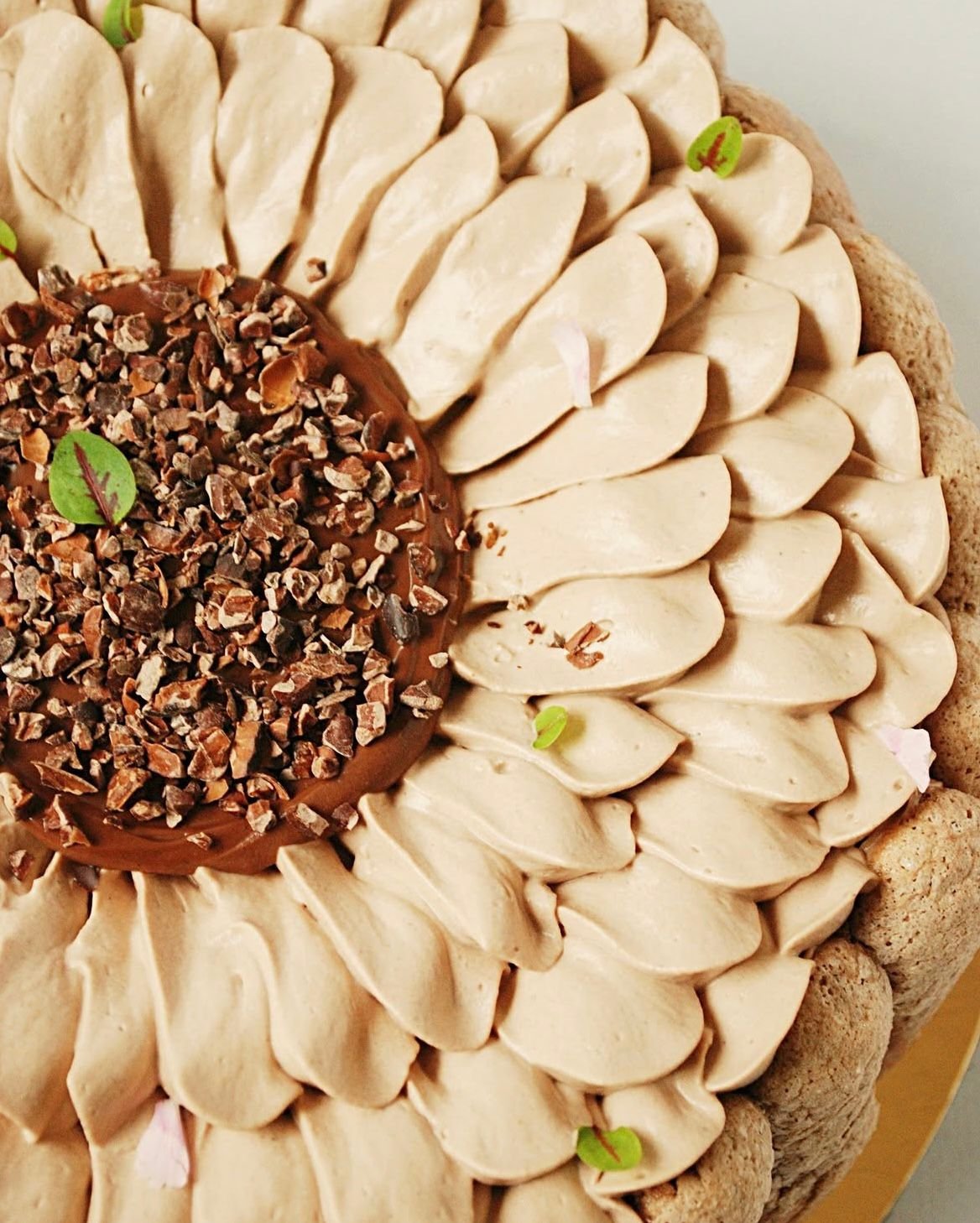 Charlotte chocolat